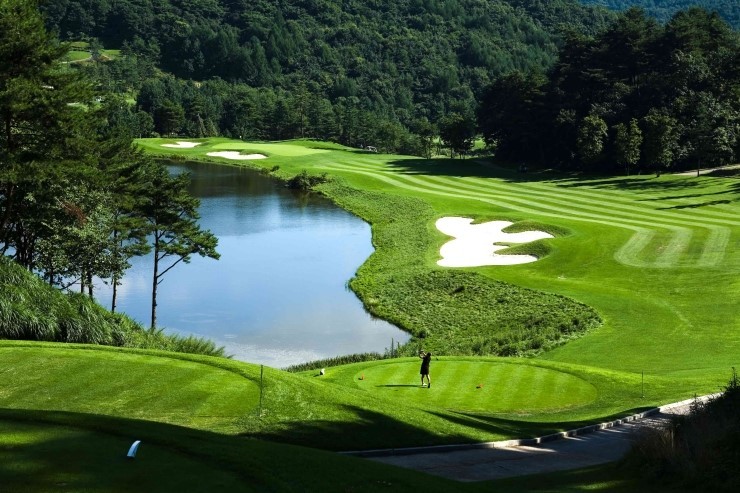 ⛳휘닉스C.C 평창 명문 "휘닉스파크 리조트" 골프 1박2일 502.000원~