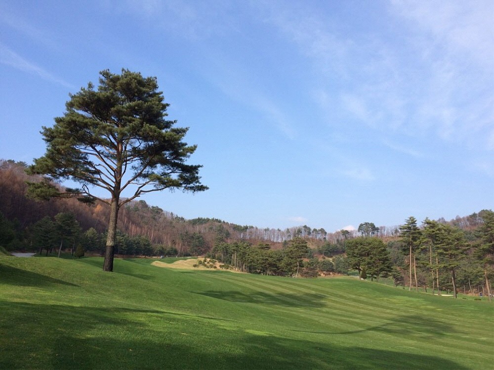 ⛳휘닉스C.C 평창 명문 "휘닉스파크 리조트" 골프 1박2일 502.000원~