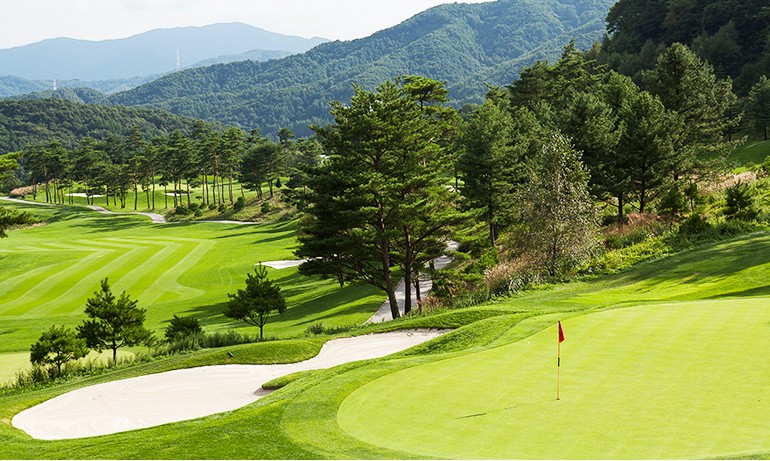 ⛳휘닉스C.C 평창 명문 "휘닉스파크 리조트" 골프 1박2일 502.000원~