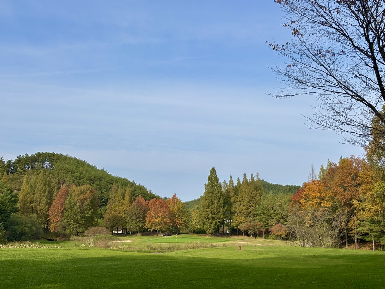 5월⛳파인밸리(삼척) 1박2일 특가 350,000원~