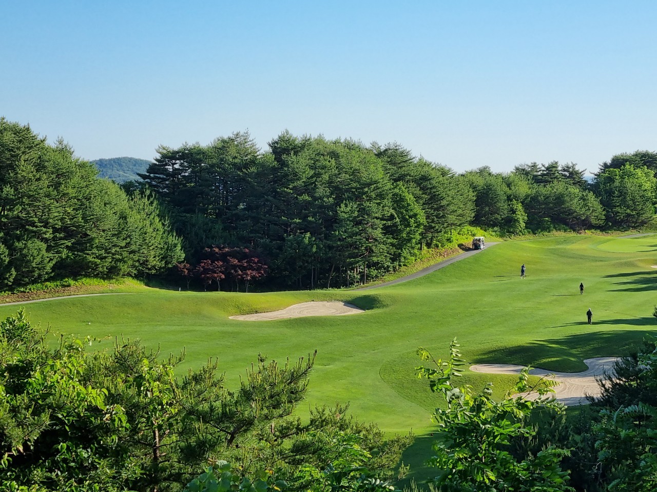 5월⛳파인밸리(삼척) 1박2일 특가 350,000원~