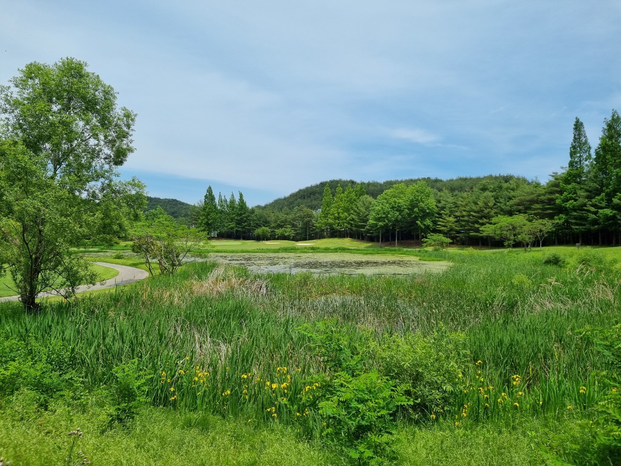 5월⛳파인밸리(삼척) 1박2일 특가 350,000원~