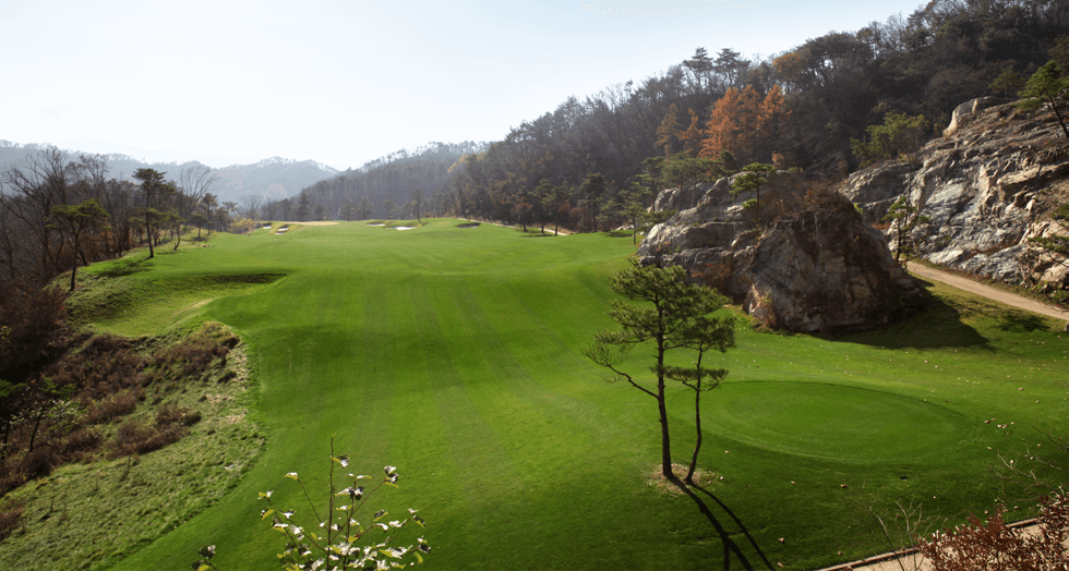 5~6월⛳️홍천 명문 2색 골프