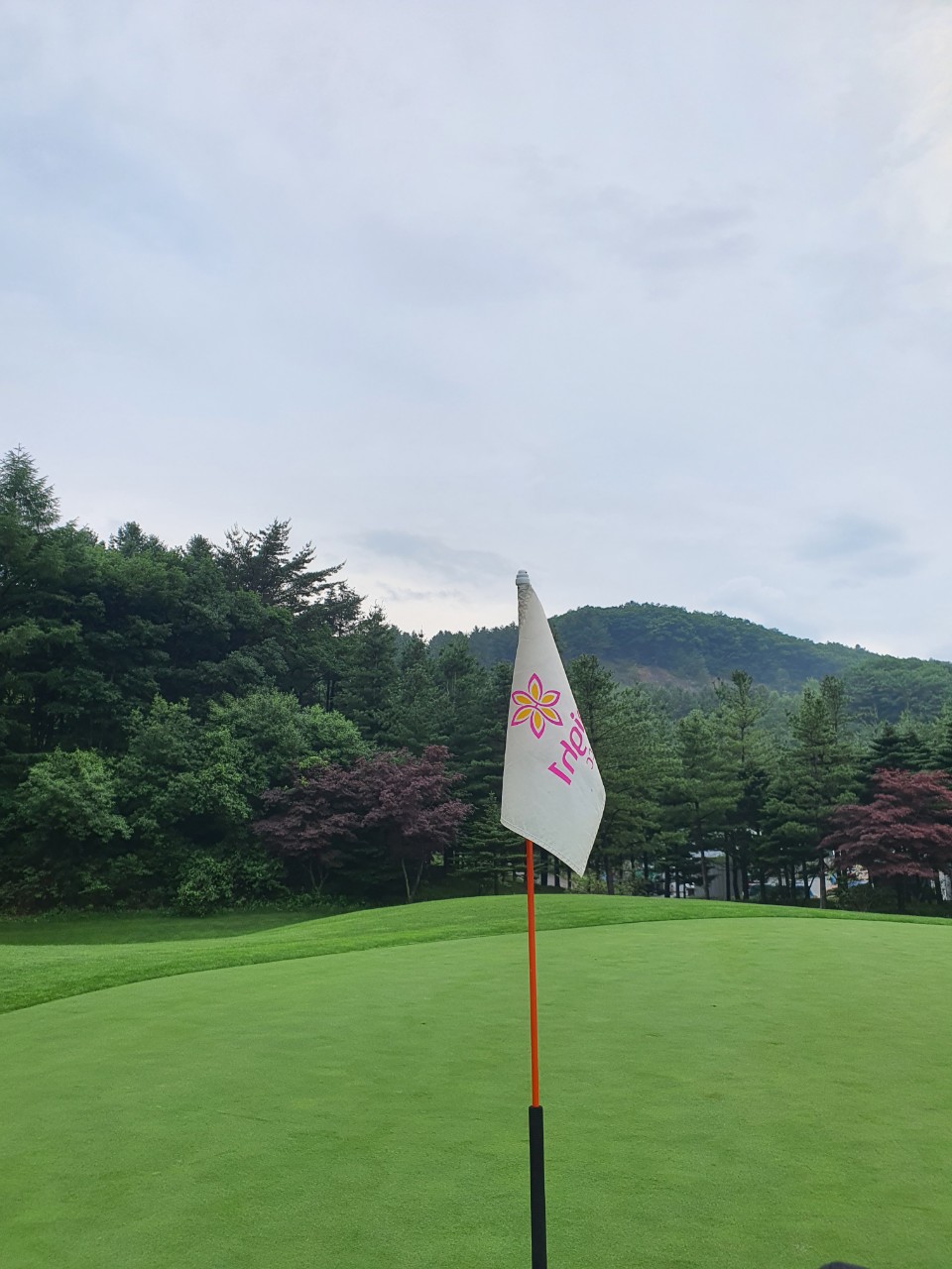 5~6월⛳ 하이원(정선) 1박2일 특가 316,000원~