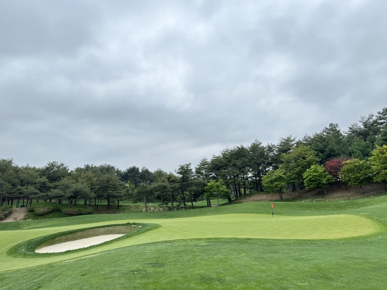 9⛳파인리즈(고성) 1박2일 특가 356,000원~ 🔵2인패키지 가능