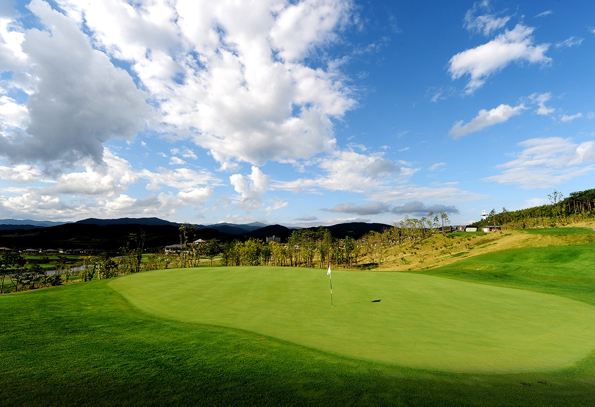 5~6월⛳강원 평창 명문(평창) 🔊대관령 청정 세계적인 명품 골프코스 평창 명문!! 1박2일 255,000원~