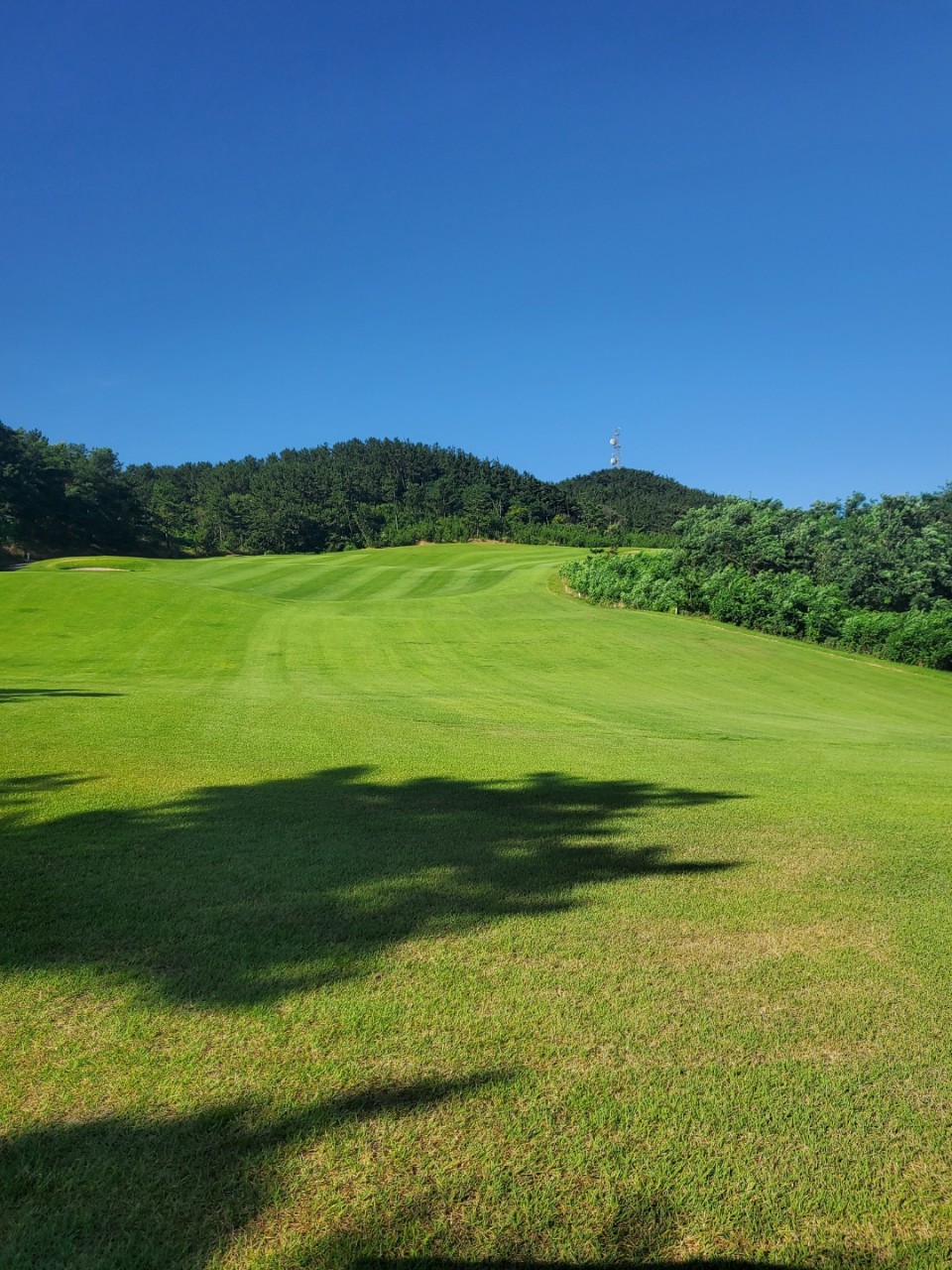 4월⛳골든베이(태안) 1박2일 초특가!! 375,000원🔵골프명가 제이드 팰리스 혈통을 계승한 서해안 최고!! 27홀 고급 휴양형 "골든베이 골프&리조트"