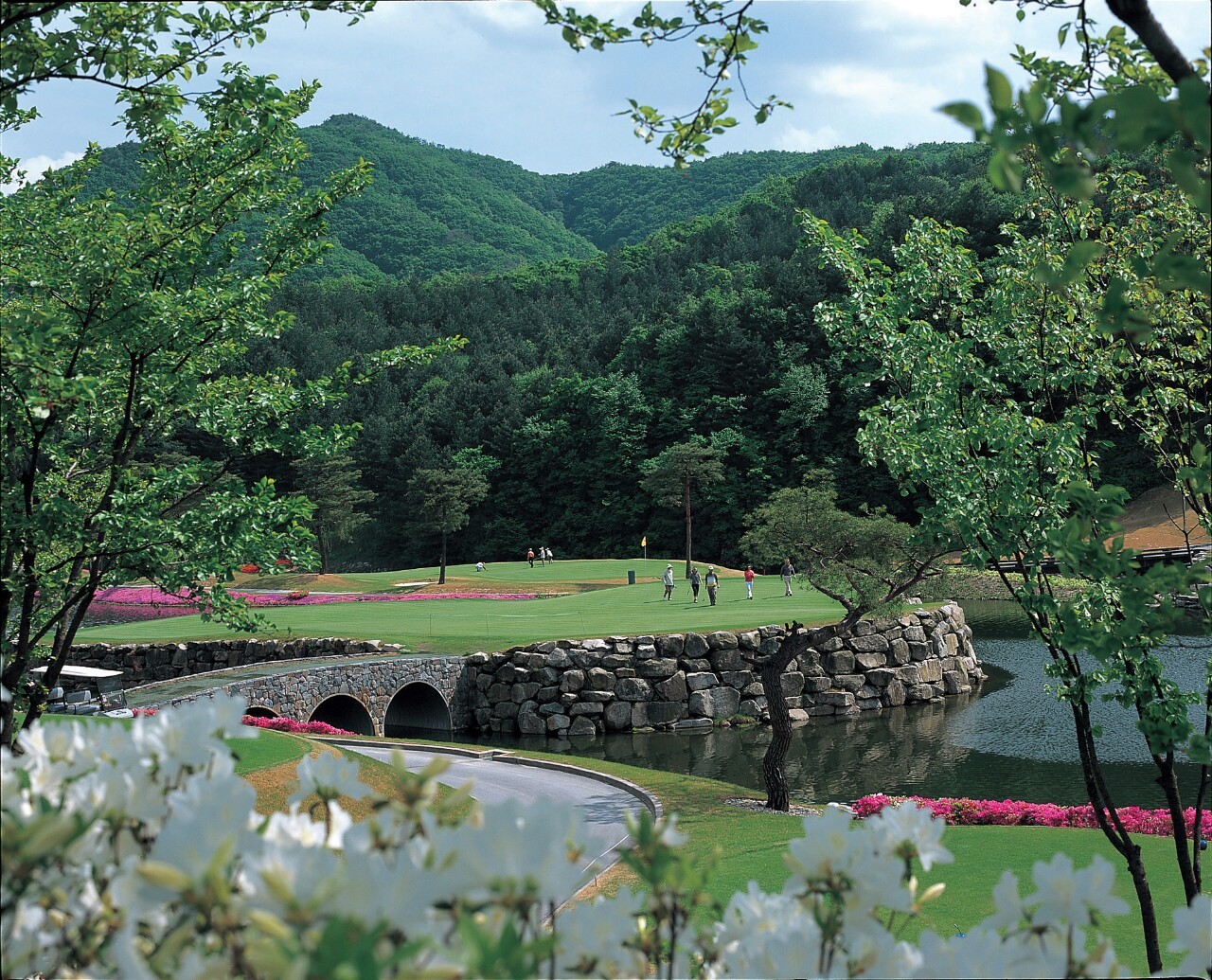 🌲여름 성수기 및 휴가철 특가!🌲⛳️8~9월! 성문안/오크밸리/오크힐스/월송리C.C 1박2일 222,000원~