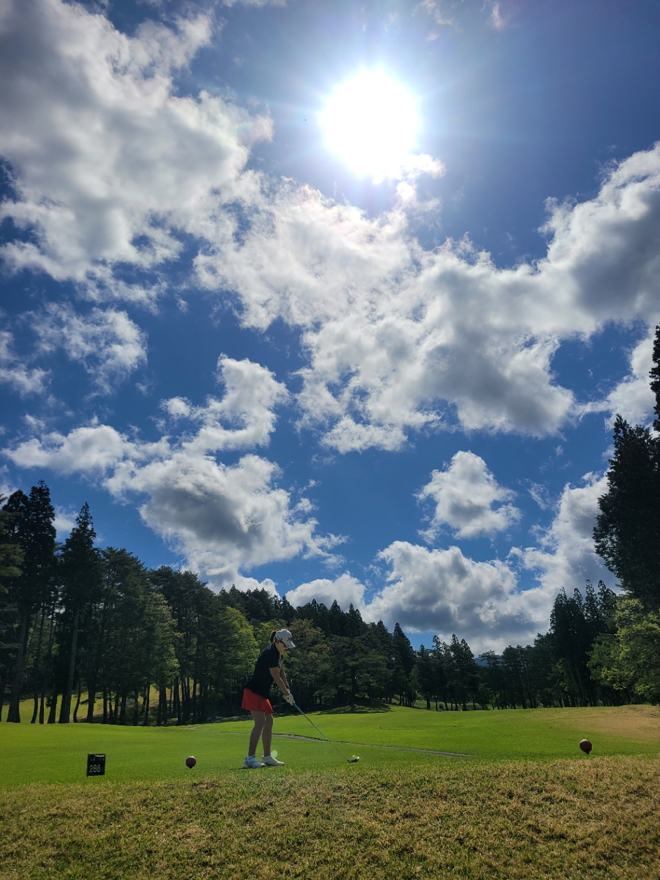 8~9월 ⛳️나고야 고원 2색 골프 🏔️ 해발 1,200m 고원 골프장 🏌️‍♂️ 서로 다른 매력의 명문 2색 골프