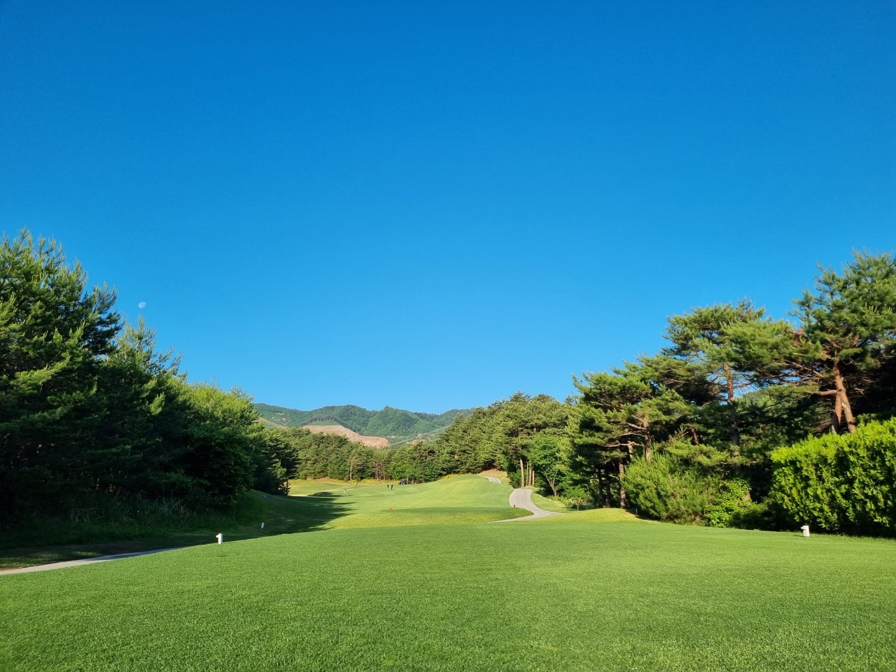 5월⛳파인밸리(삼척) 1박2일 특가 350,000원~