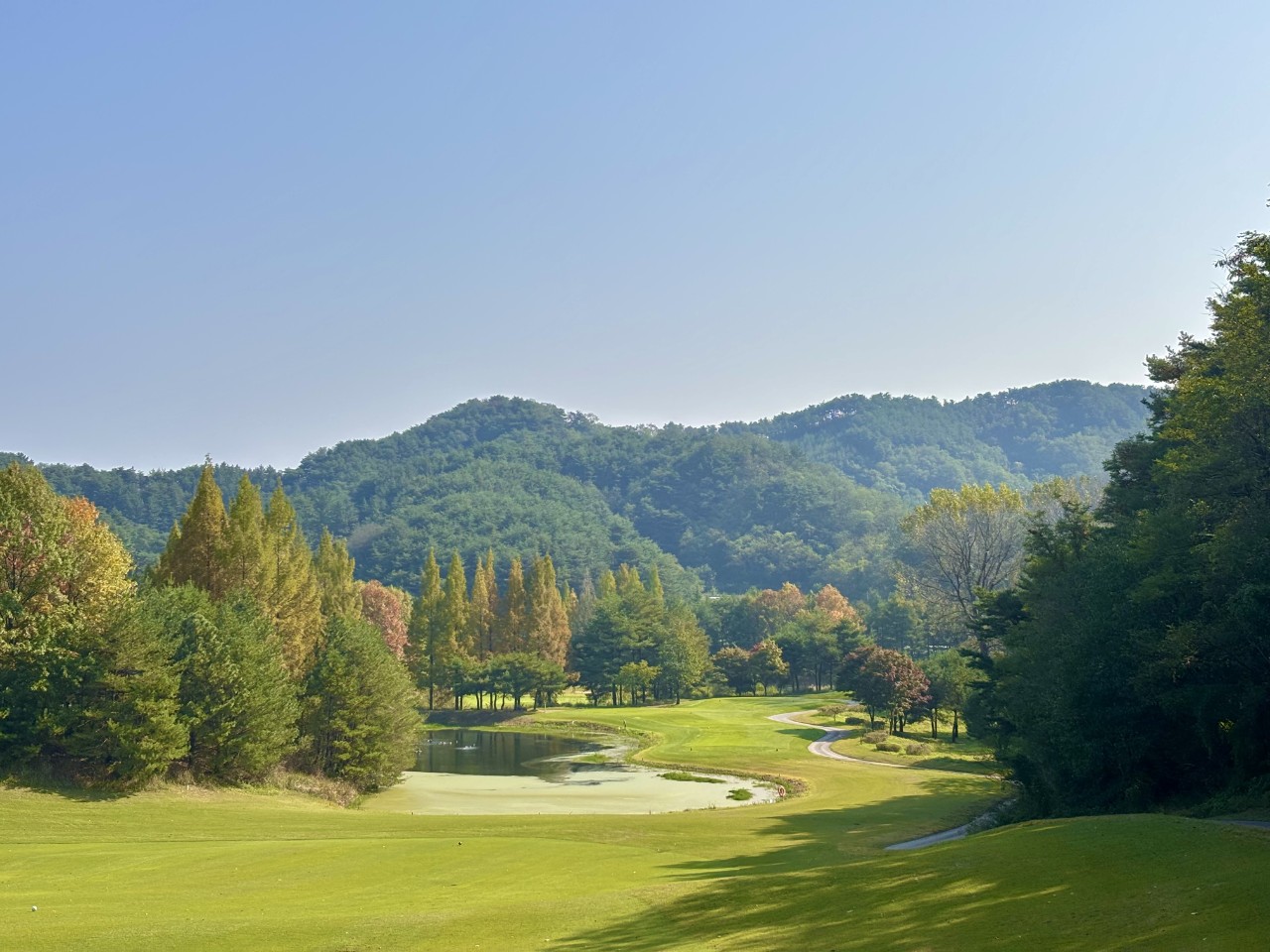 5월⛳파인밸리(삼척) 1박2일 특가 350,000원~