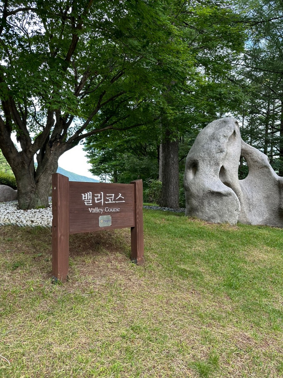 5~6월⛳ 하이원(정선) 1박2일 특가 316,000원~