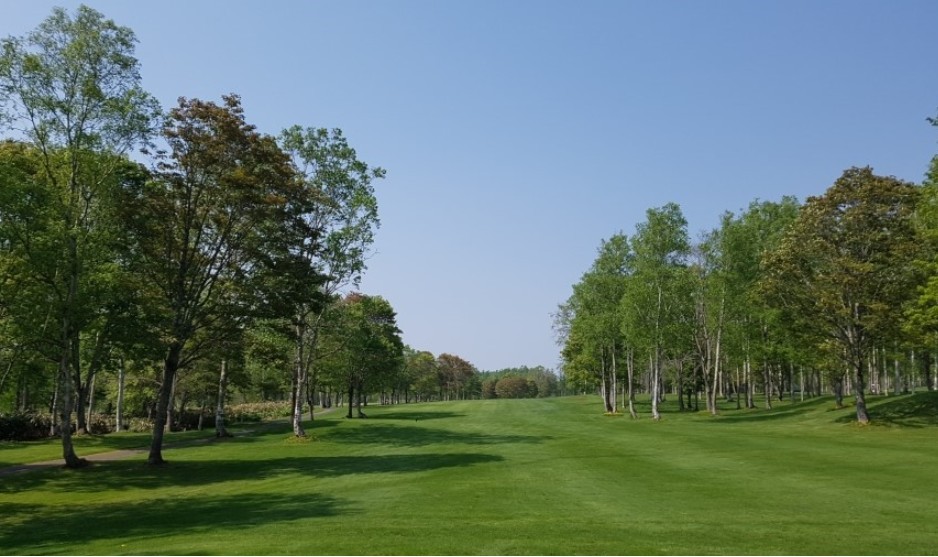 🏌️ 연태 5색 가을골프여행 ⛳ 내맘대로 골프장 선택 3박4일 72홀 599,000원~ 매일출발