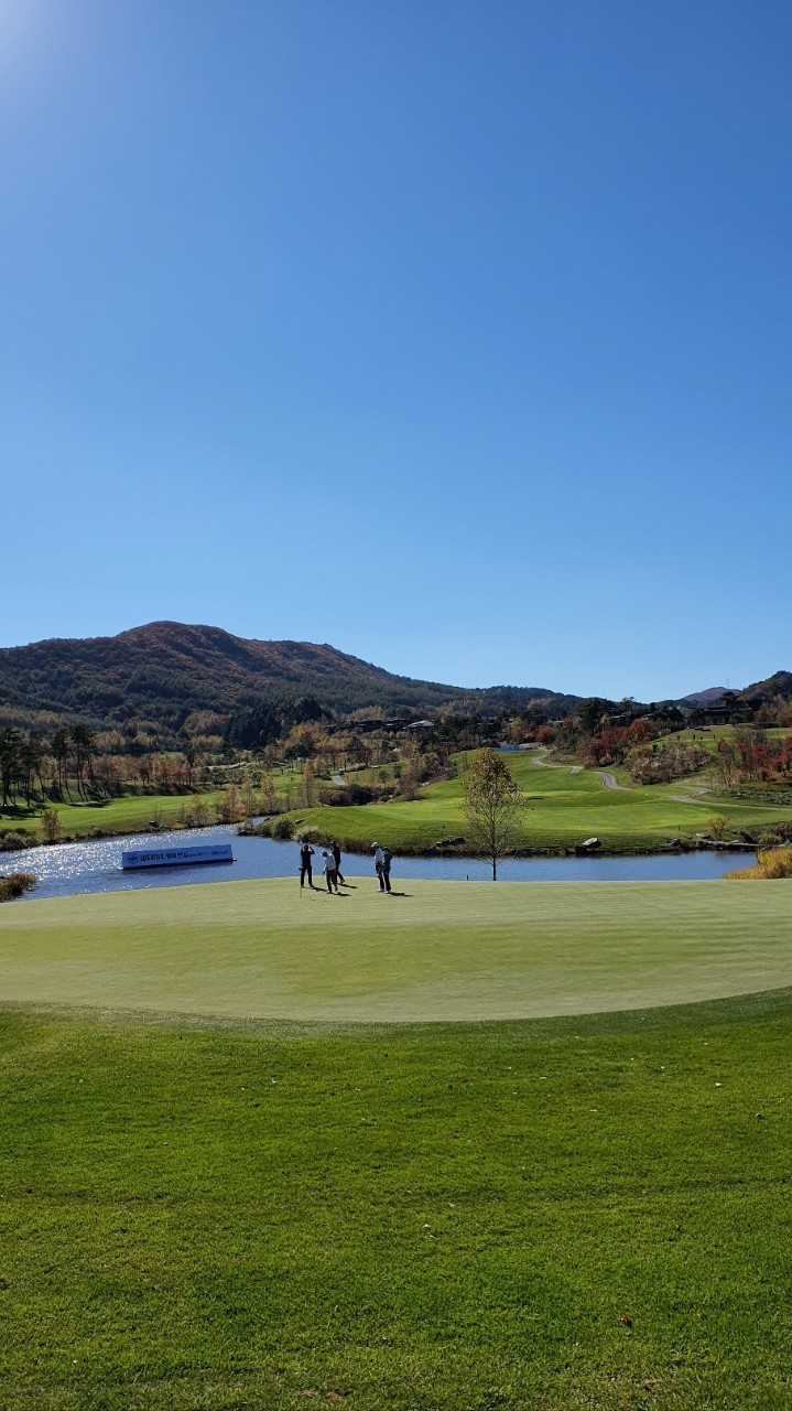 5~6월⛳강원 평창 명문(평창) 🔊대관령 청정 세계적인 명품 골프코스 평창 명문!! 1박2일 255,000원~