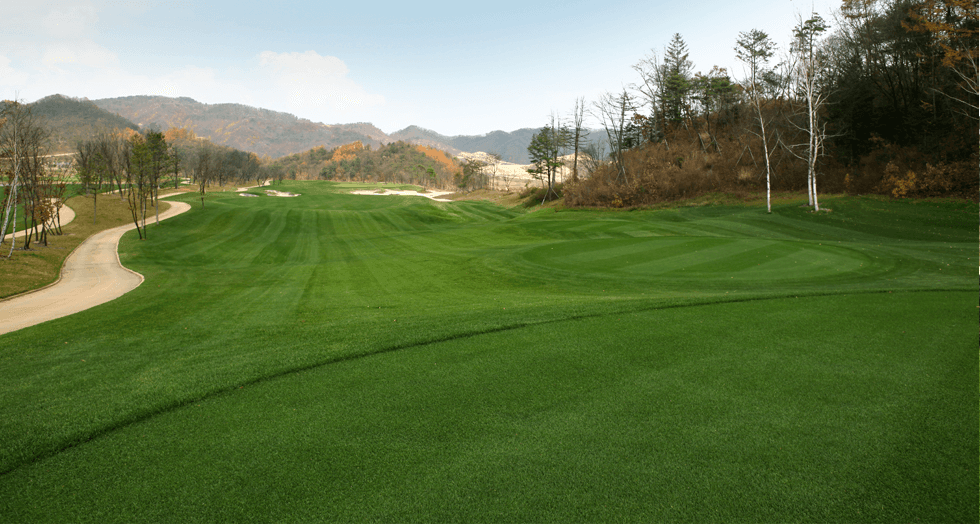5~6월⛳️홍천 명문 2색 골프