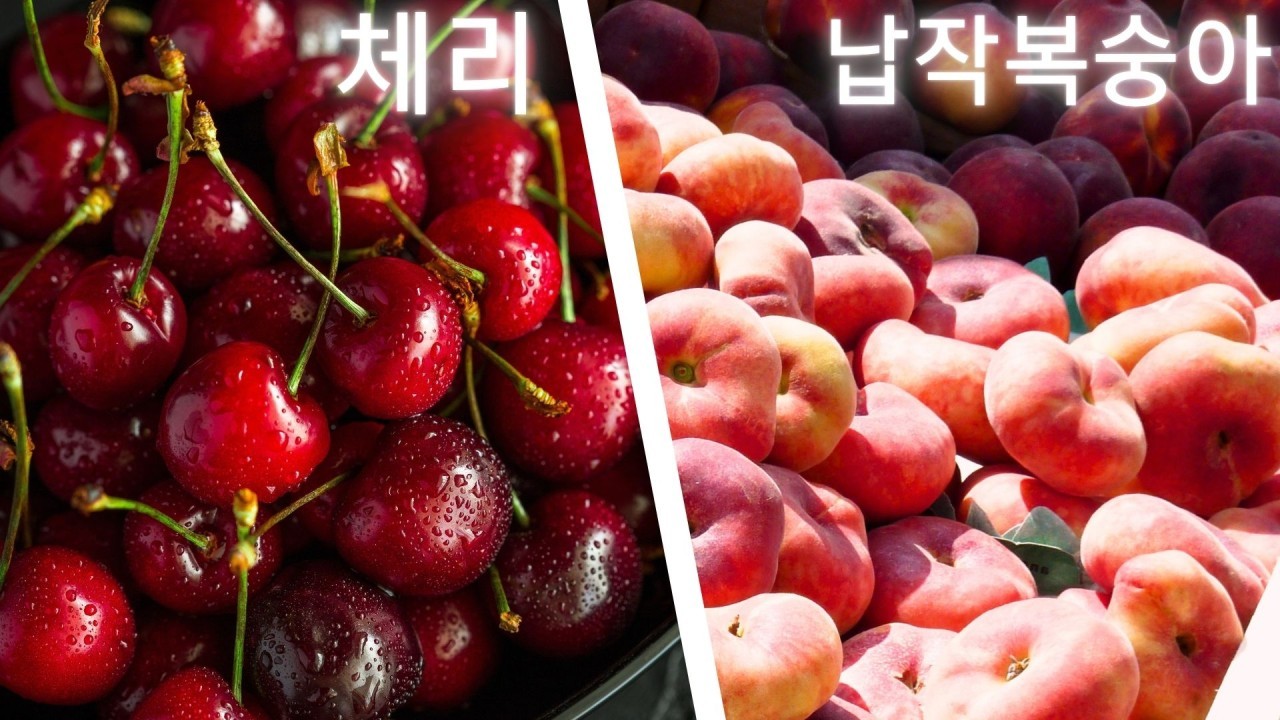 🚀고품격 연태 다색골프 2박3일 399,000원,3박4일 499,000원 🚀장마없는 청정자연 지역~~