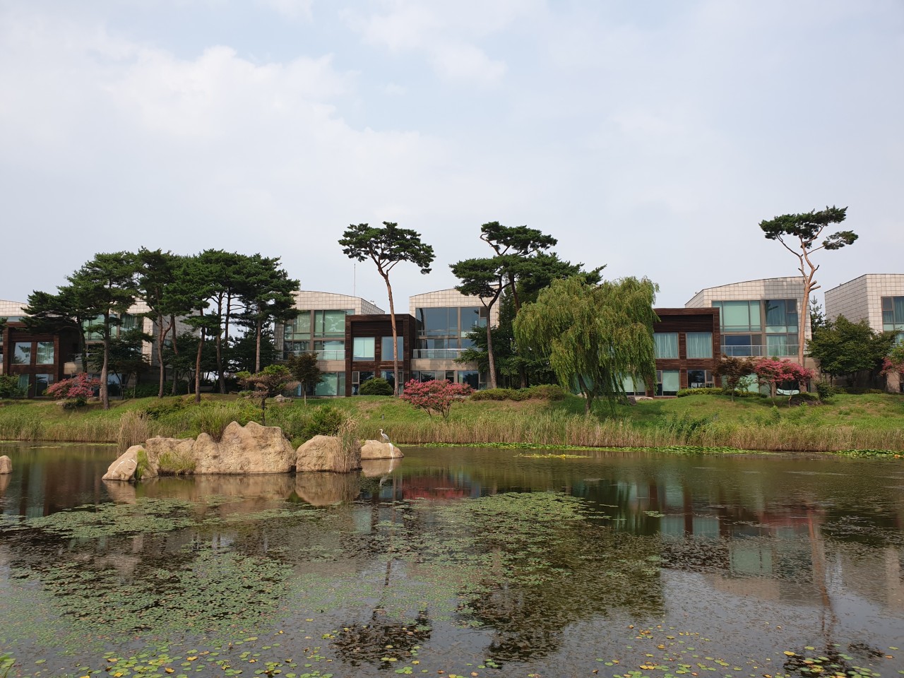 5~6월⛳ 파인스톤(당진) 🔊자연적이고 예술적인 Premium Life 골프코스!! 🌲2박2일 370,000원~