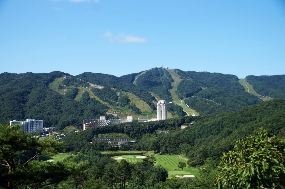 ⛳휘닉스C.C 평창 명문 "휘닉스파크 리조트" 골프 1박2일 502.000원~