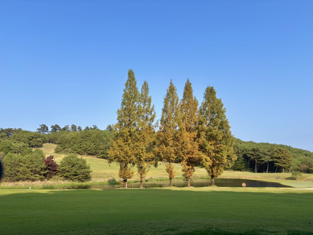 5월⛳파인밸리(삼척) 1박2일 특가 350,000원~