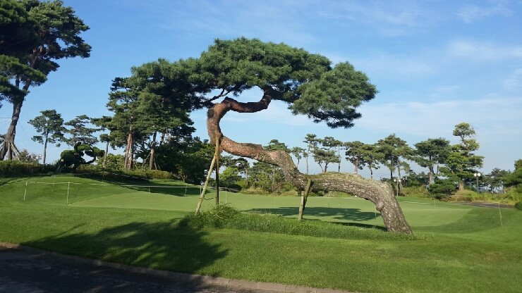 5~6월⛳ 파인스톤(당진) 🔊자연적이고 예술적인 Premium Life 골프코스!! 🌲2박2일 370,000원~