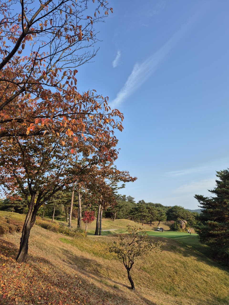 5월⛳파인밸리(삼척) 1박2일 특가 350,000원~