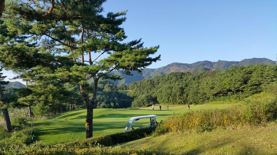 5월⛳파인밸리(삼척) 1박2일 특가 350,000원~