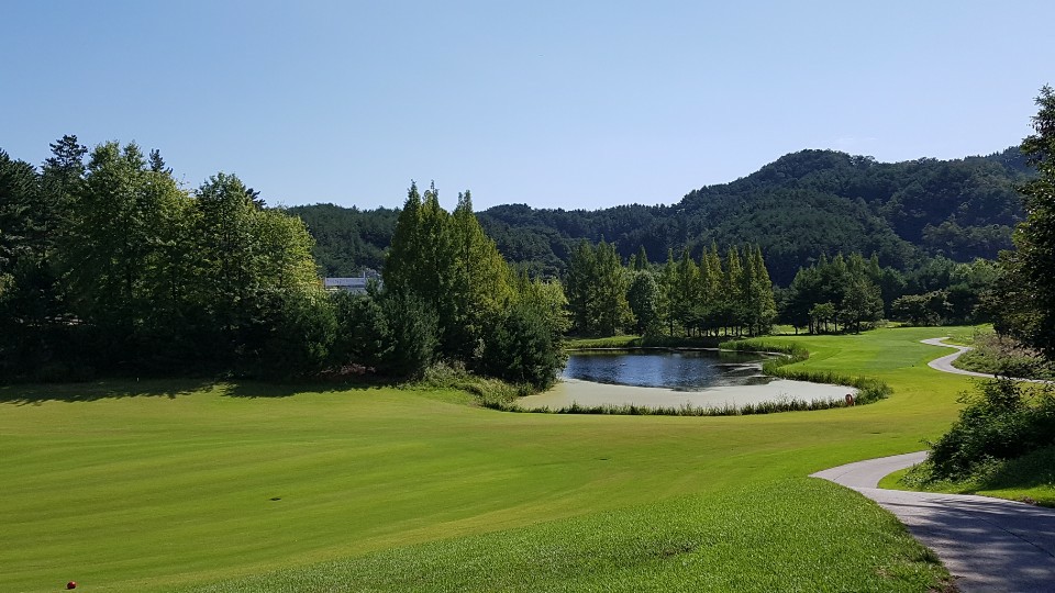 5월⛳파인밸리(삼척) 1박2일 특가 350,000원~