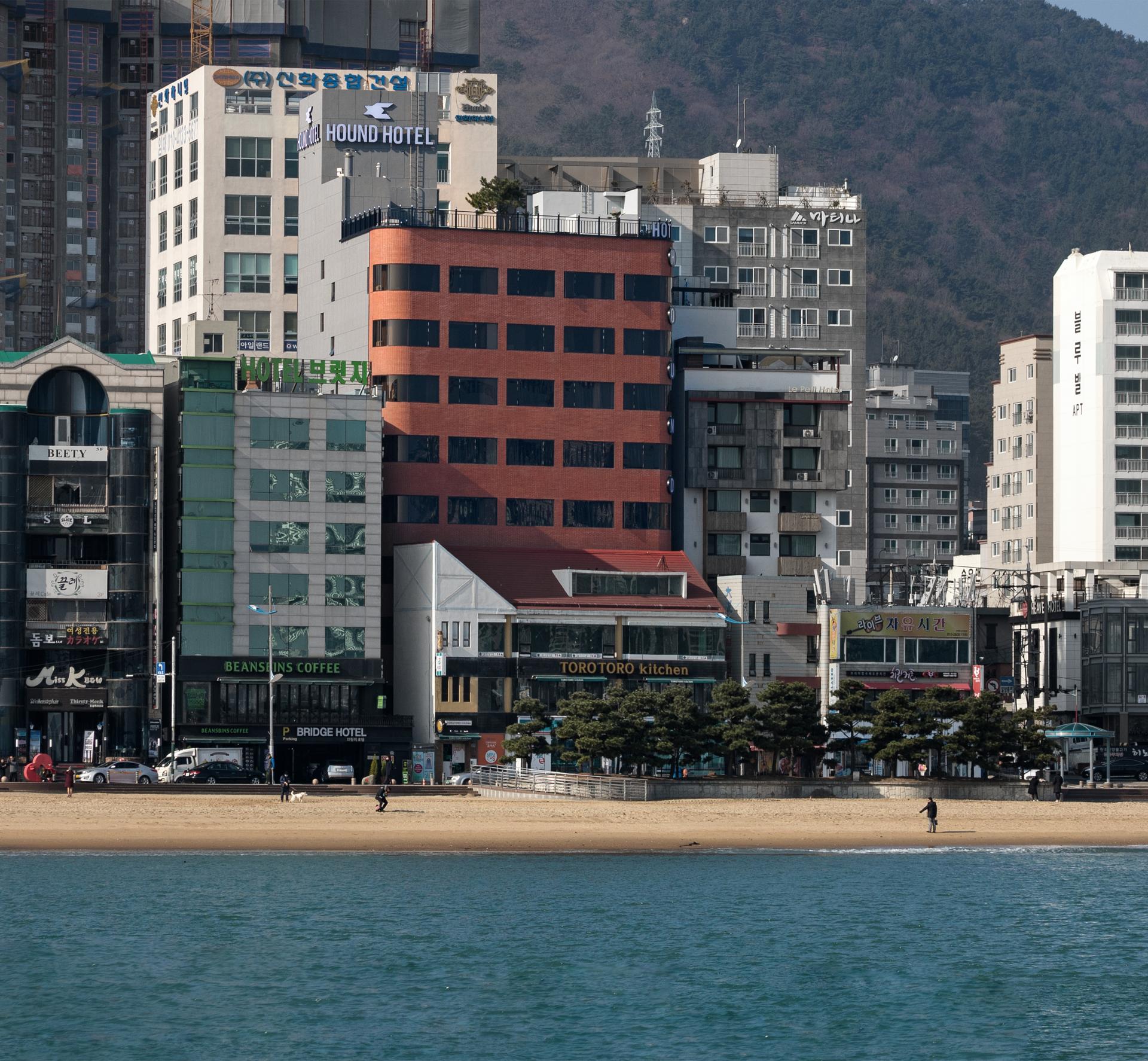 광안리 하운드
