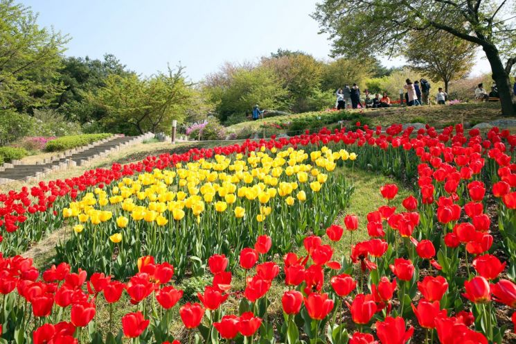 도봉구 ‘오감 꽃길 야행’ 우이천 빛 축제 개최