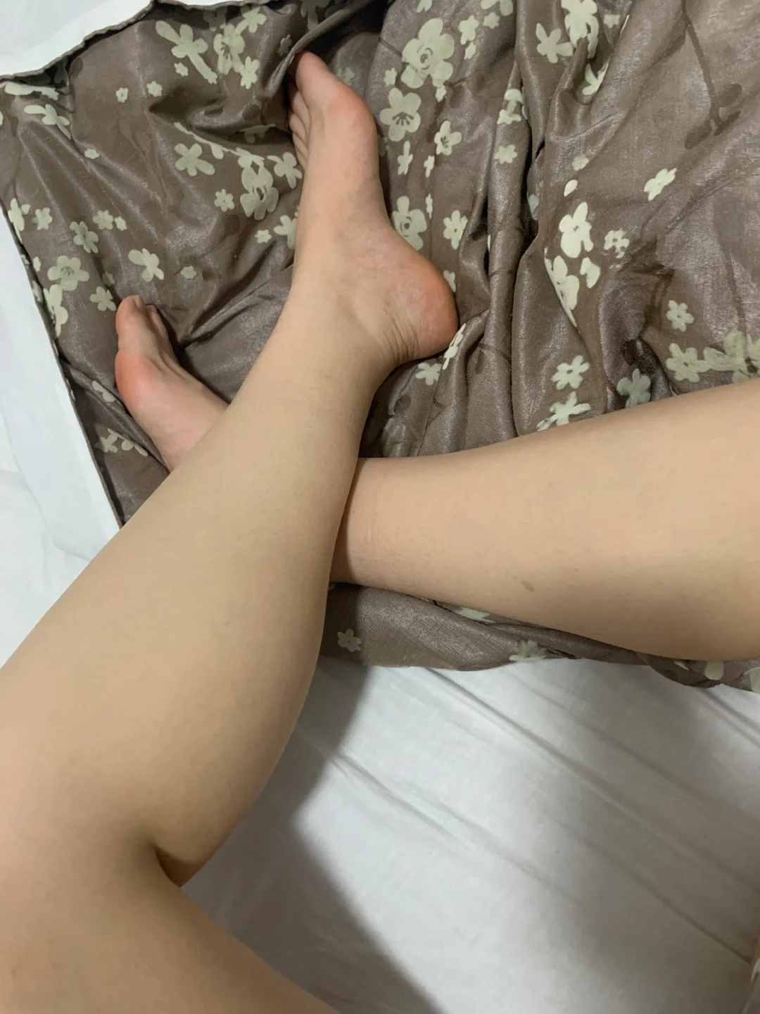 133c1b4f503ea.png