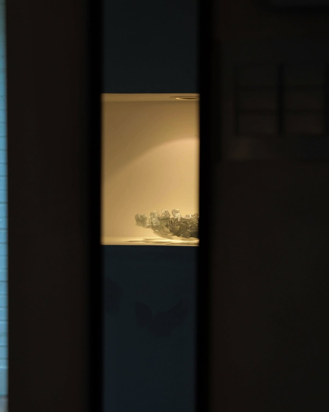 a242113712d65.jpg