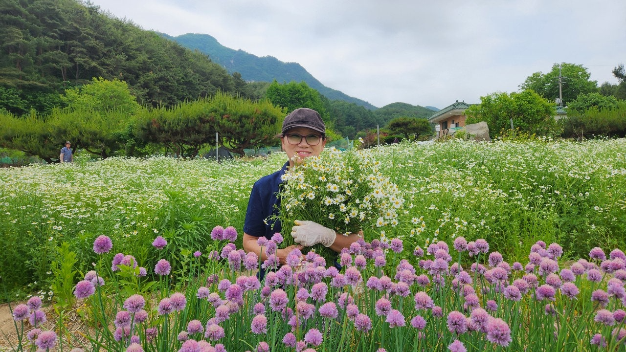 사용자가 올린 이미지