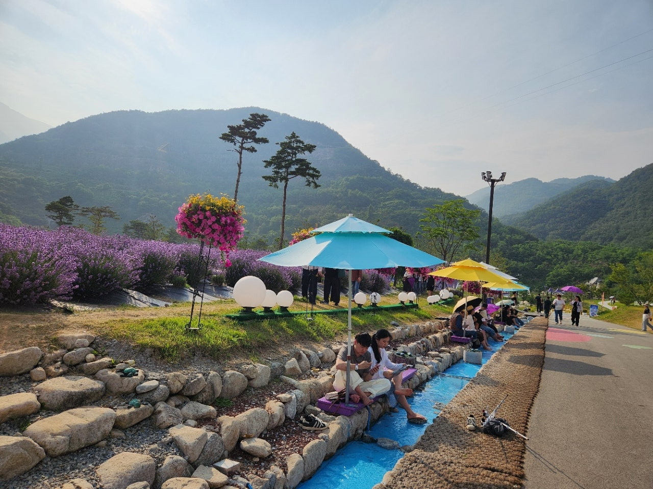 사용자가 올린 이미지