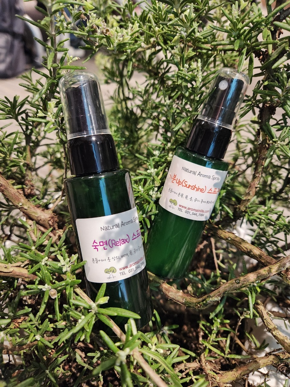 사용자가 올린 이미지