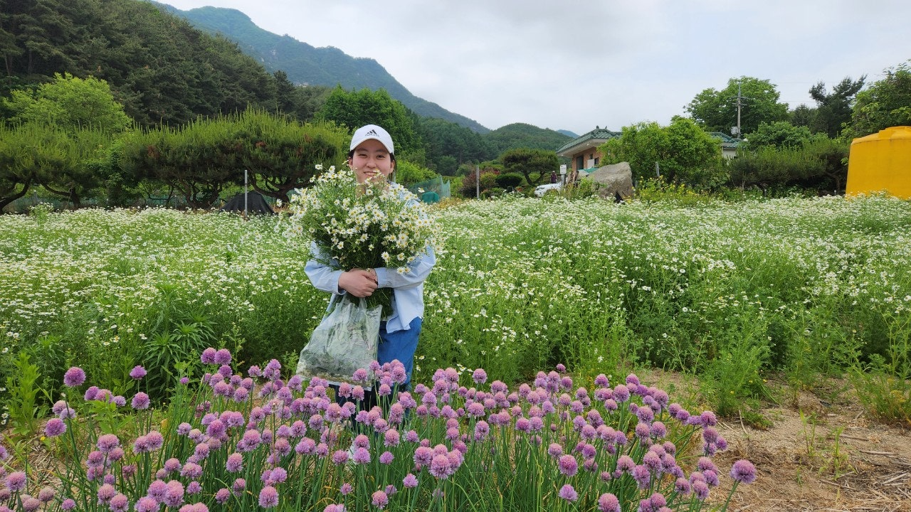 사용자가 올린 이미지
