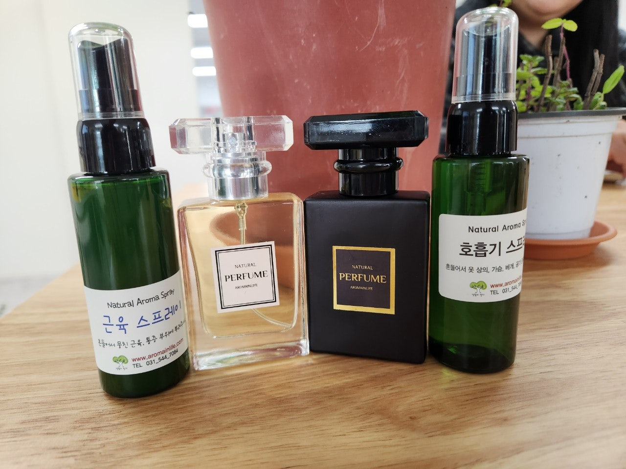 사용자가 올린 이미지