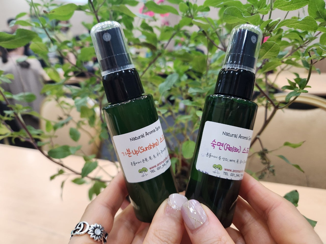 사용자가 올린 이미지