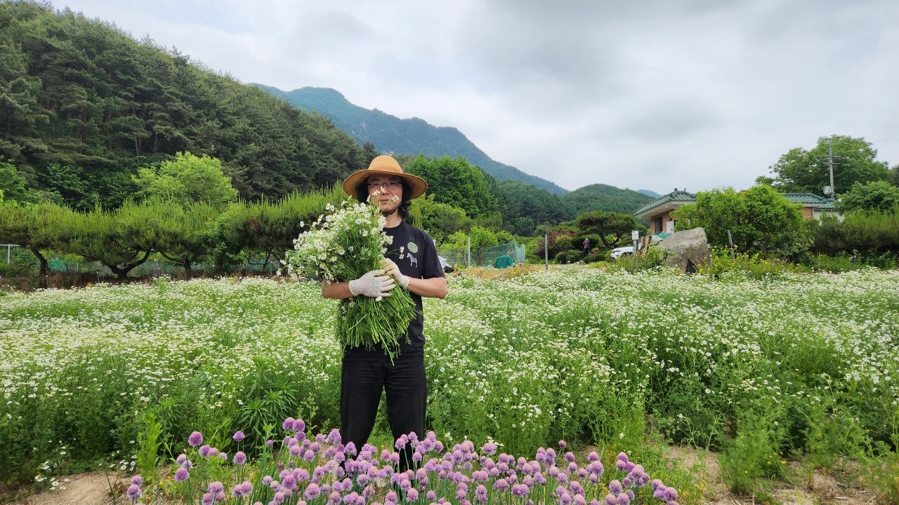 사용자가 올린 이미지
