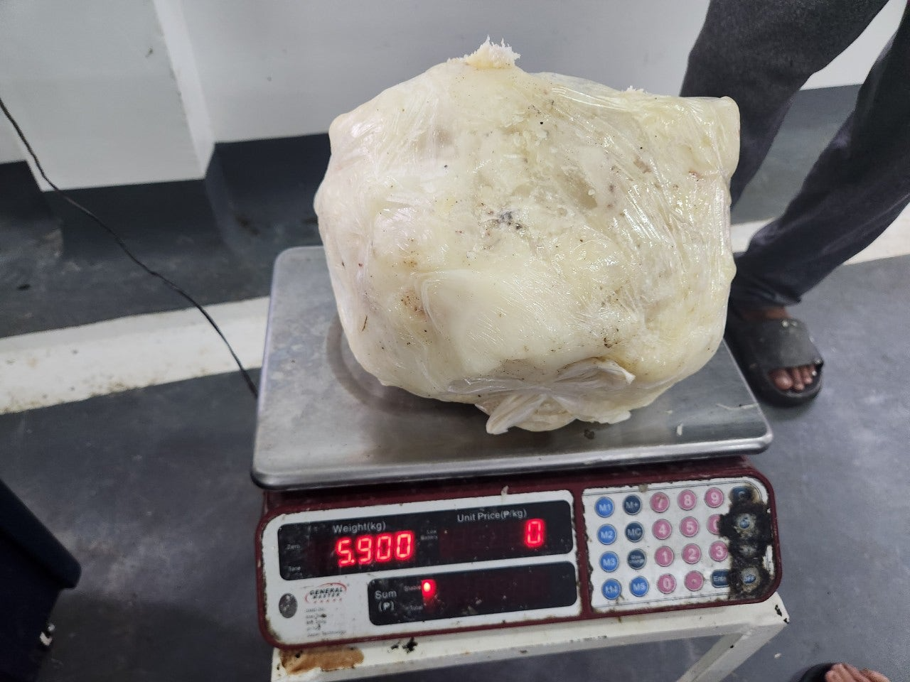 사용자가 올린 이미지