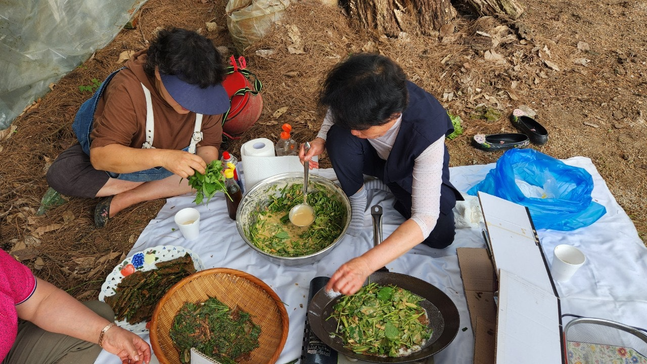 사용자가 올린 이미지