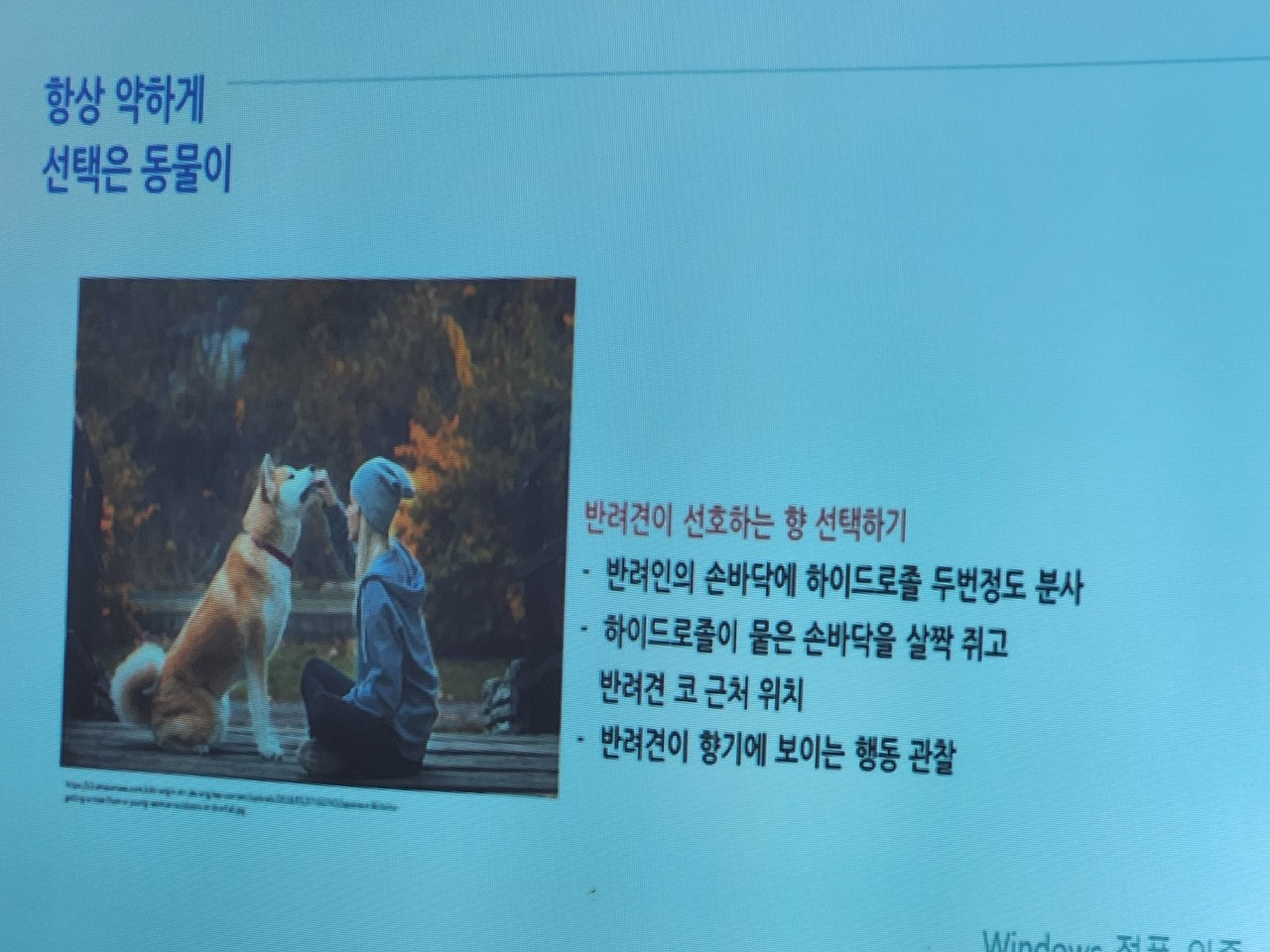 사용자가 올린 이미지
