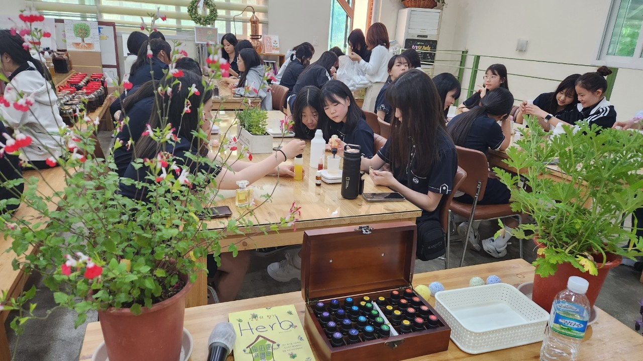 사용자가 올린 이미지