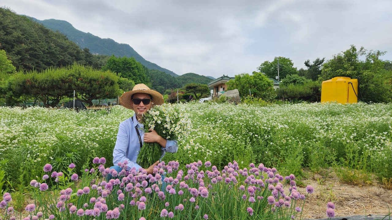 사용자가 올린 이미지