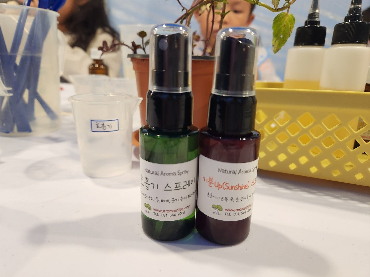 사용자가 올린 이미지