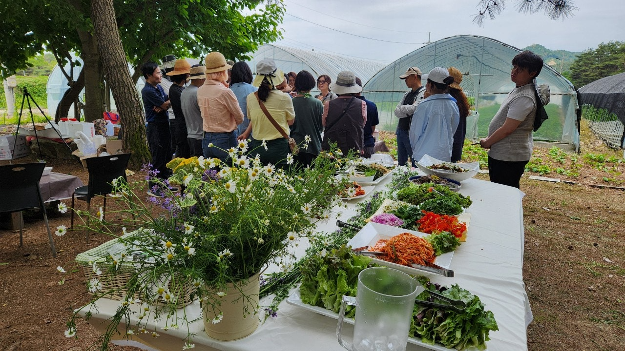 사용자가 올린 이미지