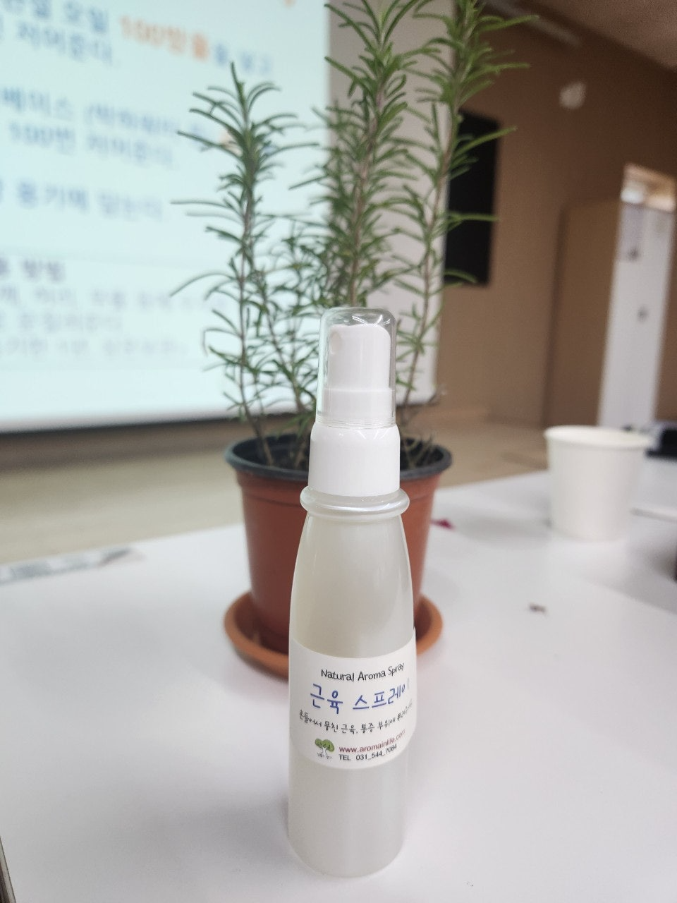 사용자가 올린 이미지