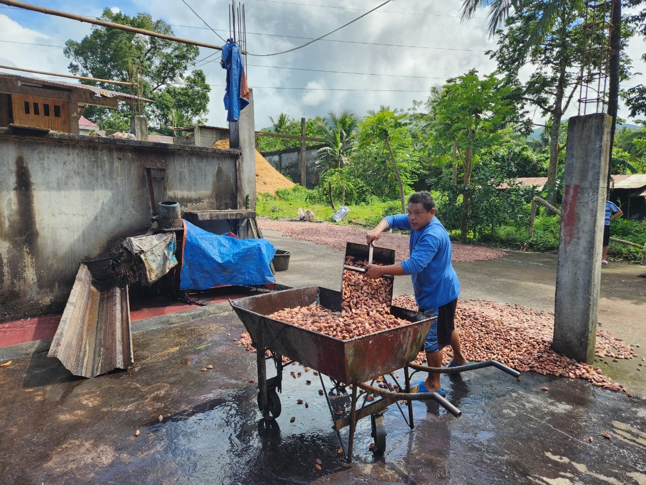 사용자가 올린 이미지