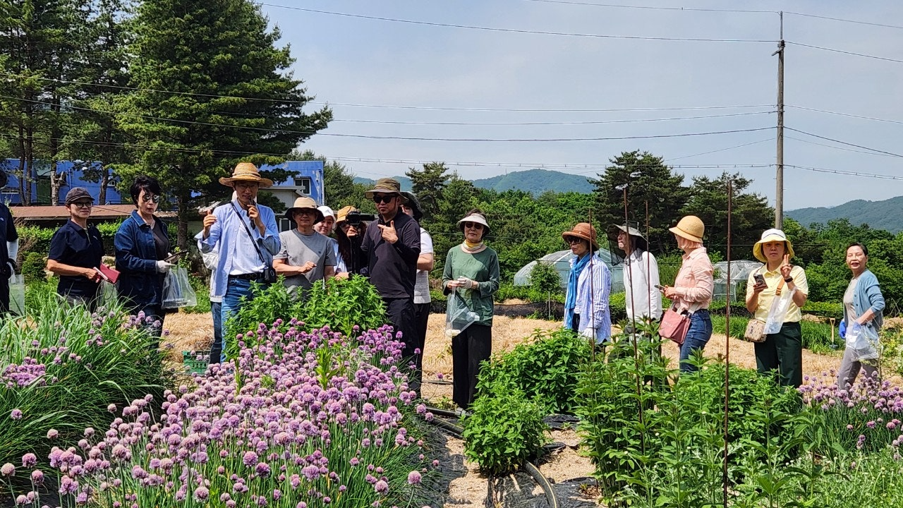 사용자가 올린 이미지