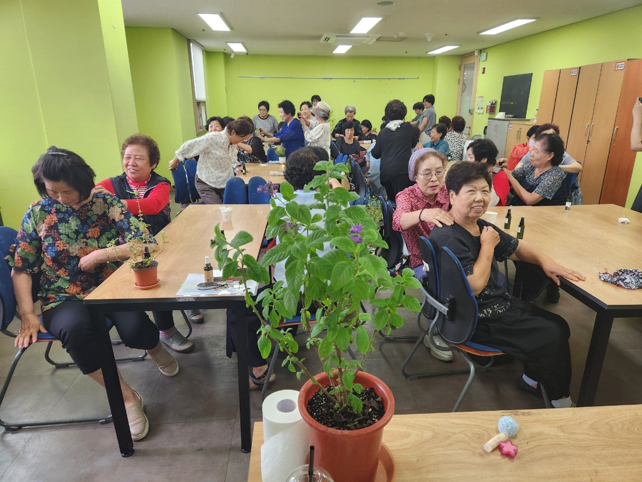 사용자가 올린 이미지