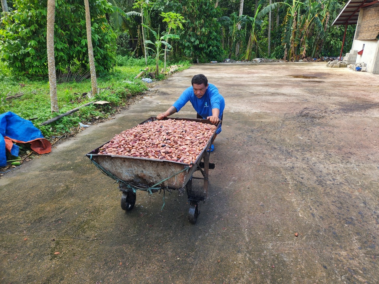 사용자가 올린 이미지